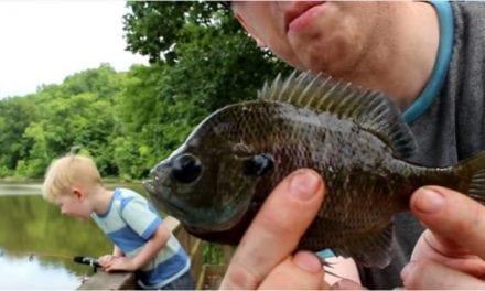The Often Under-Appreciated Bluegill Catch and Cook