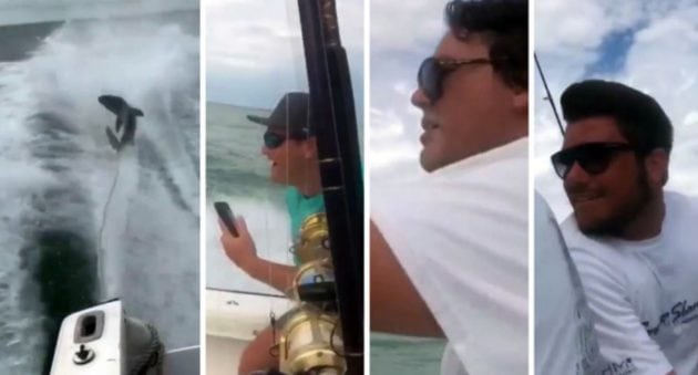 The Shark Dragging Video is Now Being Investigated by the FWC