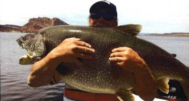 There’s a New Utah Lake Trout Record. Look at This Monster!