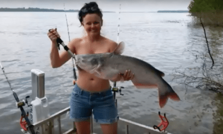 There’s Big Fish in the Mississippi River