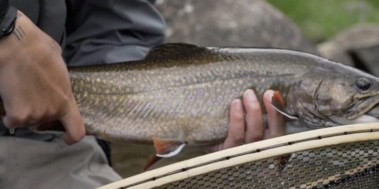 This May be the Best Fly Fishing Film You See All Year