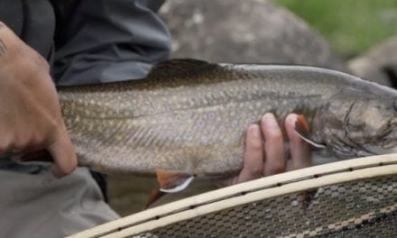 This May be the Best Fly Fishing Film You See All Year