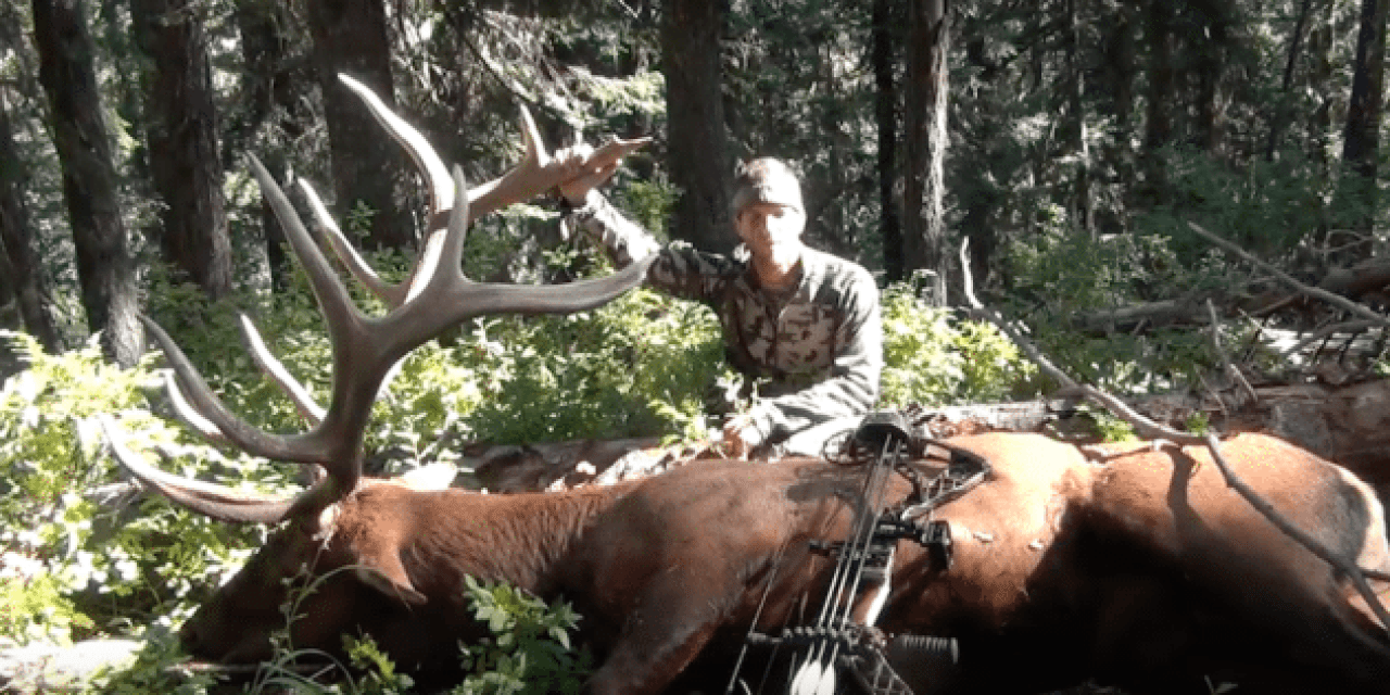 This Solo Archery Elk Hunt is What Dreams Are Made Of