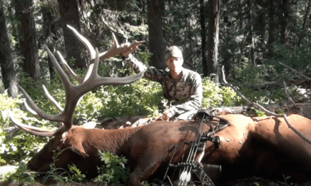 This Solo Archery Elk Hunt is What Dreams Are Made Of