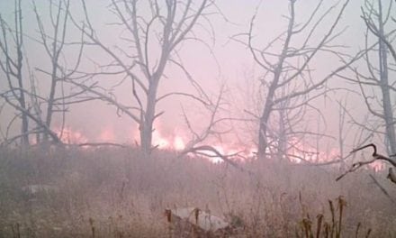 This Trail Camera Survived a Wildfire and Took Pictures