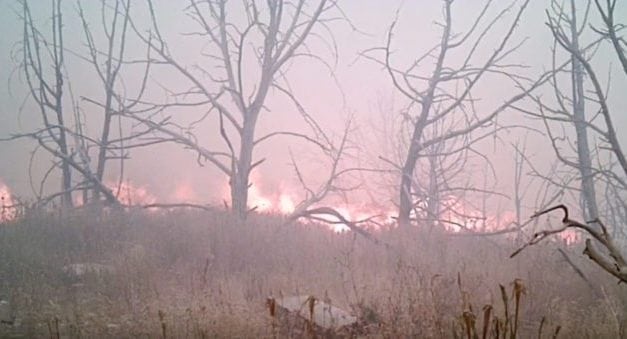 This Trail Camera Survived a Wildfire and Took Pictures