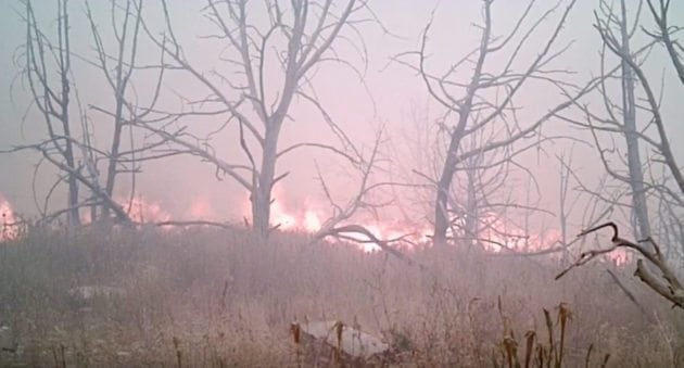 This Trail Camera Survived a Wildfire and Took Pictures