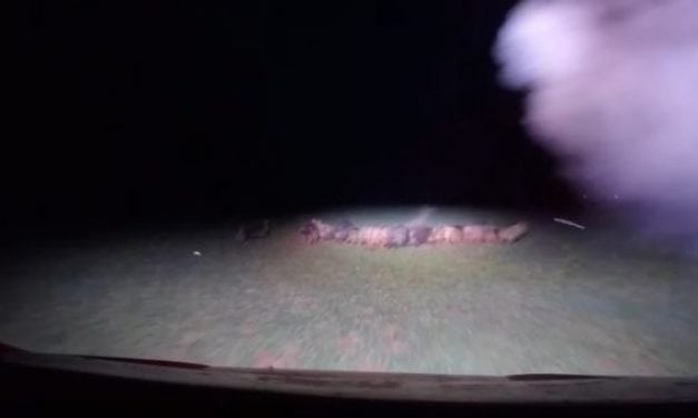 WARNING: This is Not Hunting, but Extreme Feral Hog Eradication