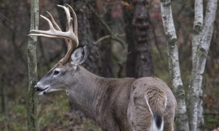 Warning to Those Who Don’t Care About Being Ready for Deer Hunting Season