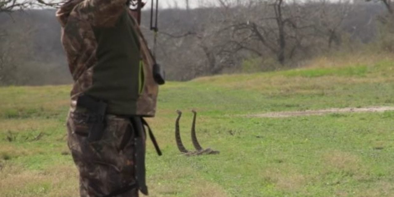Watch This Guy Take Down Two Rattlesnakes with One Arrow