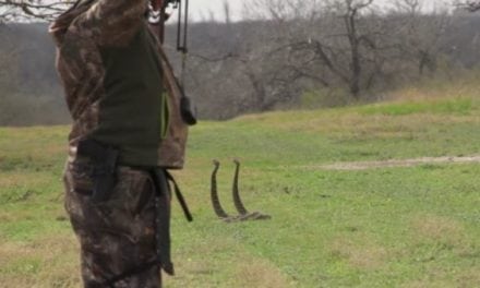 Watch This Guy Take Down Two Rattlesnakes with One Arrow