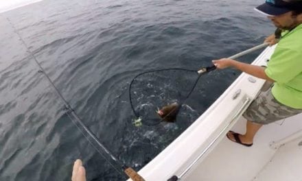 What’s a Doormat Fluke, and Why Are These Guys Catching So Many?