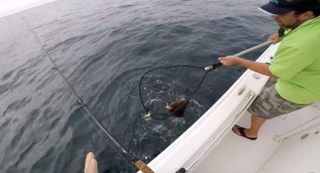 What’s a Doormat Fluke, and Why Are These Guys Catching So Many?