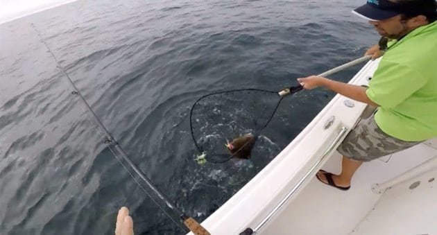 What’s a Doormat Fluke, and Why Are These Guys Catching So Many?