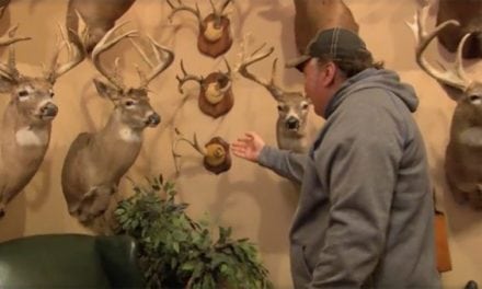 #WhitetailWednesday: The Rest of This Whitetail Room Will Make Your Heart Skip a Beat