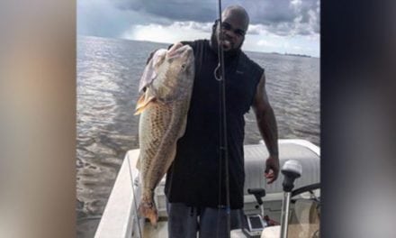 Who’s Bigger, NFLer Vince Wilfork, or This Redfish he Just Caught?!