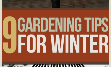 Winter Gardening Tips: The Prepper’s Guide to Cold-Weather Gardening