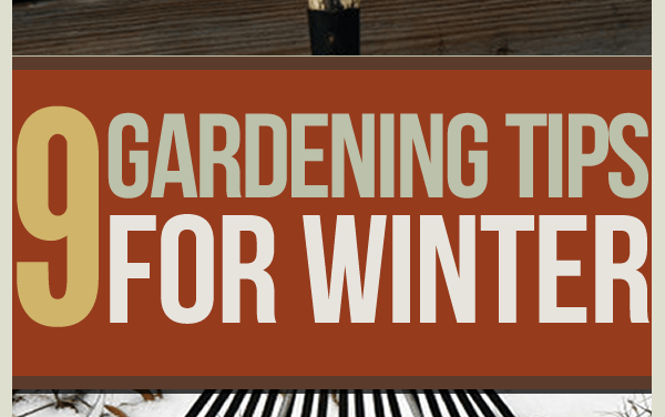 Winter Gardening Tips: The Prepper’s Guide to Cold-Weather Gardening