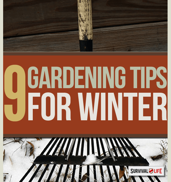 Winter Gardening Tips: The Prepper’s Guide to Cold-Weather Gardening