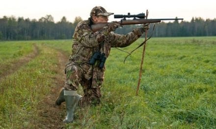 You CAN Afford to Hunt! Here Are 5 of the Best Budget Hunting Rifles