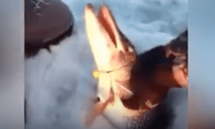 10 of the Craziest Ice Fishing Videos on the Internet