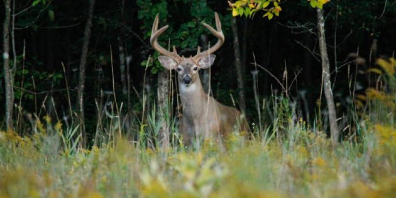 11 Ways Hunters Are Basically Losing Their Minds as Deer Season Gets Closer