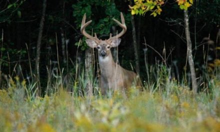 11 Ways Hunters Are Basically Losing Their Minds as Deer Season Gets Closer