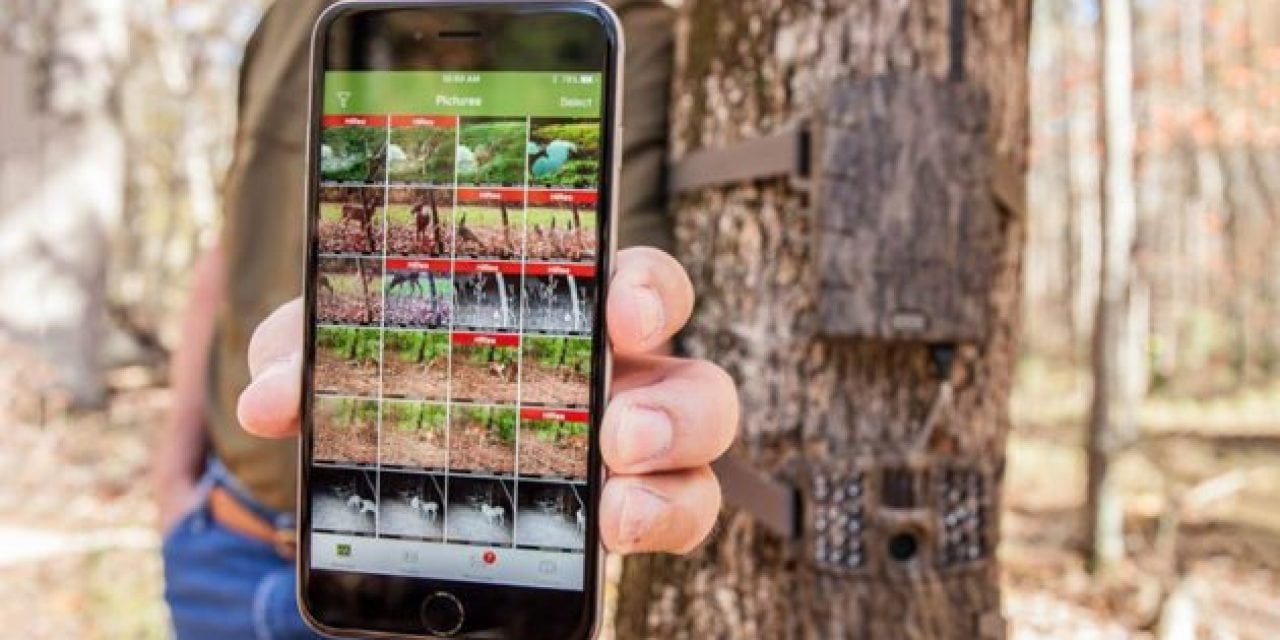 3 Ways Moultrie Mobile Will Change the Way You Use Trail Cams