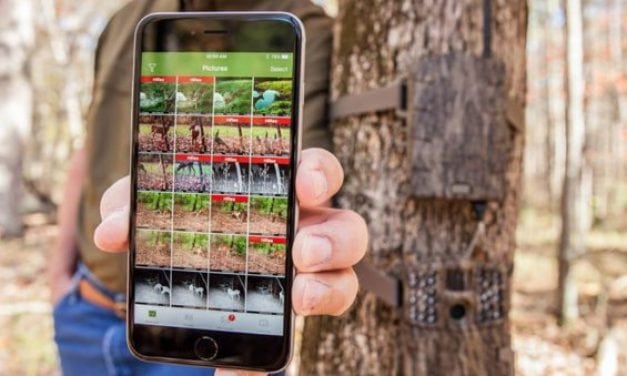 3 Ways Moultrie Mobile Will Change the Way You Use Trail Cams
