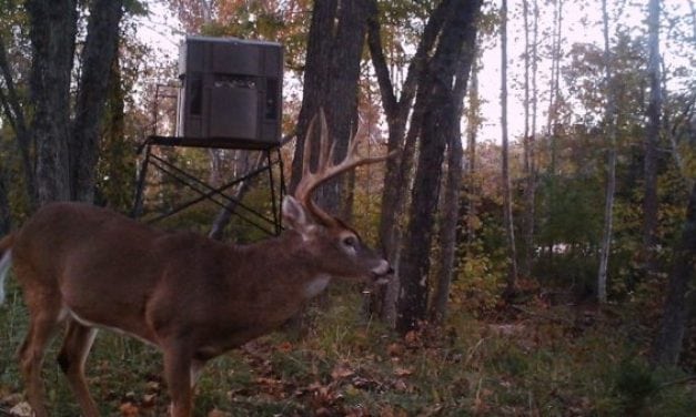 5 Luxury Hunting Blinds You MIGHT be Able to Afford