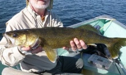 5 Tips to Catch Warm Water Walleyes