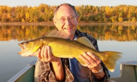 7 Fish to Target When Fishing This Fall