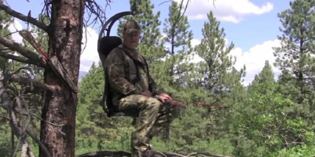 A Different Way to Hunt: The ‘Hung Right’ Hunter Chair