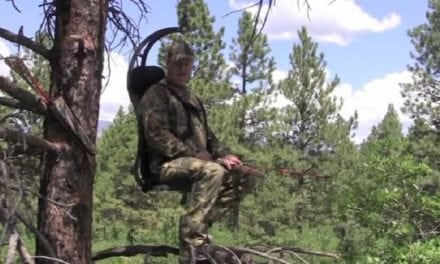 A Different Way to Hunt: The ‘Hung Right’ Hunter Chair