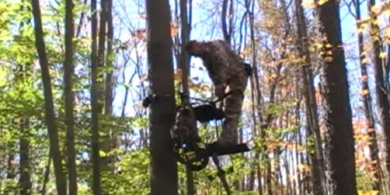 A Motorized Treestand? The TreeRider