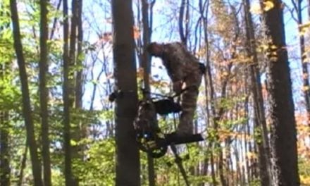 A Motorized Treestand? The TreeRider