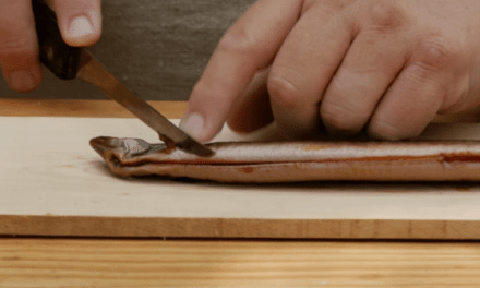 A Very Unusual 18th Century Recipe: Eel and Corn Succotash