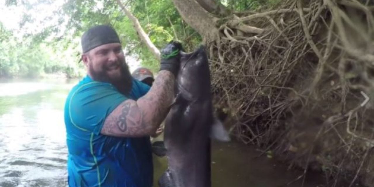 Are You Man Enough to Try Noodling Catfish With Your Toes?