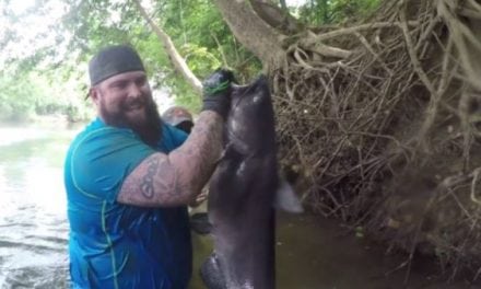 Are You Man Enough to Try Noodling Catfish With Your Toes?