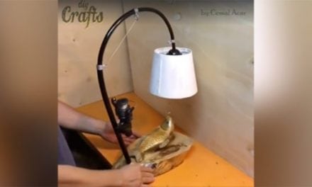 Check Out This Fast Motion Video of an Awesome Fishing Lamp Carved From a Chunk of Tree