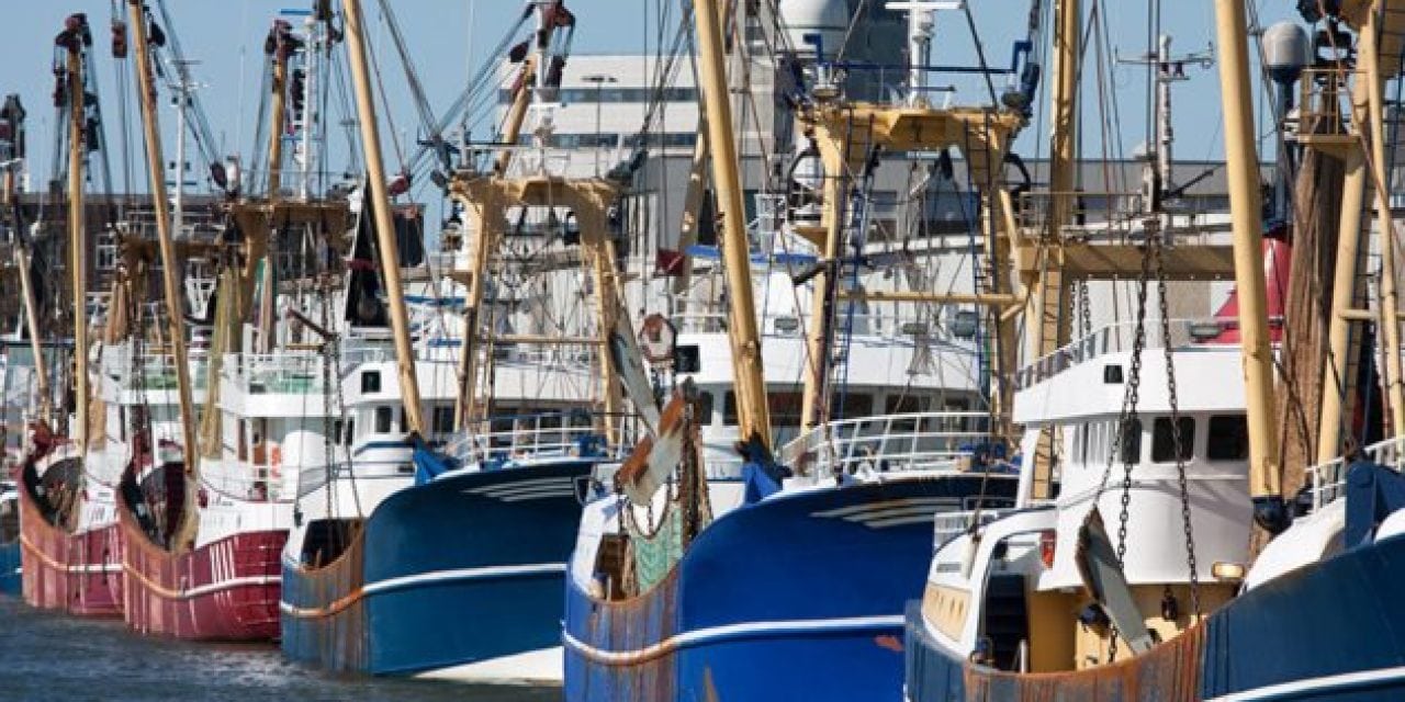 Commercial Fishing Apprenticeship Created in Rhode Island