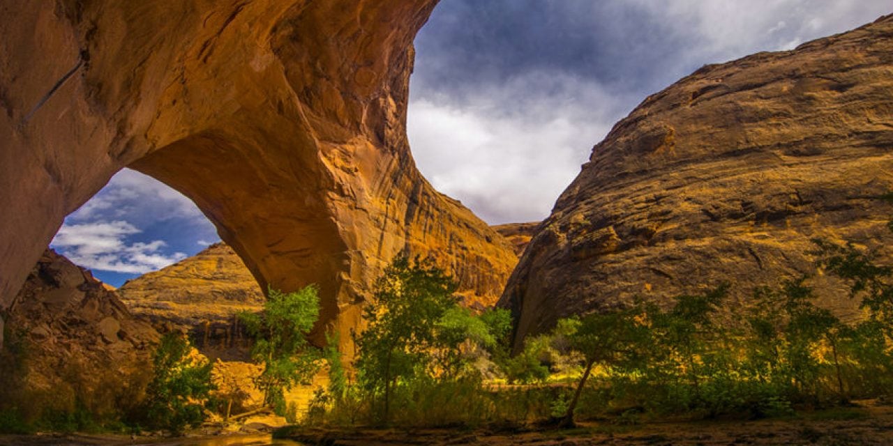 Coyote Gulch