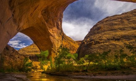 Coyote Gulch