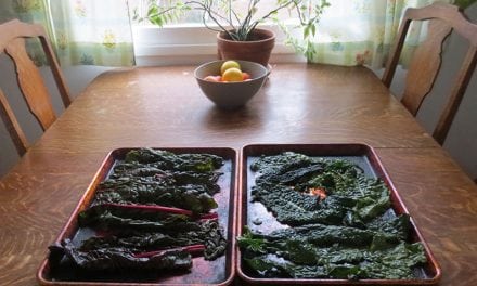 Dehydrated Kale Flakes