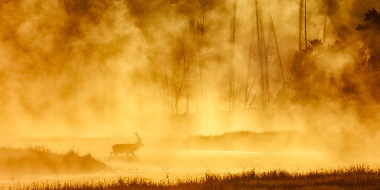 Destination Yellowstone