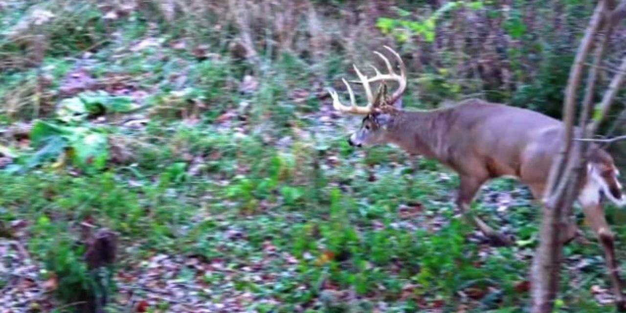 Did This Guy Really Just Do That, and is He Insane for Passing This Buck?