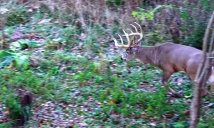 Did This Guy Really Just Do That, and is He Insane for Passing This Buck?
