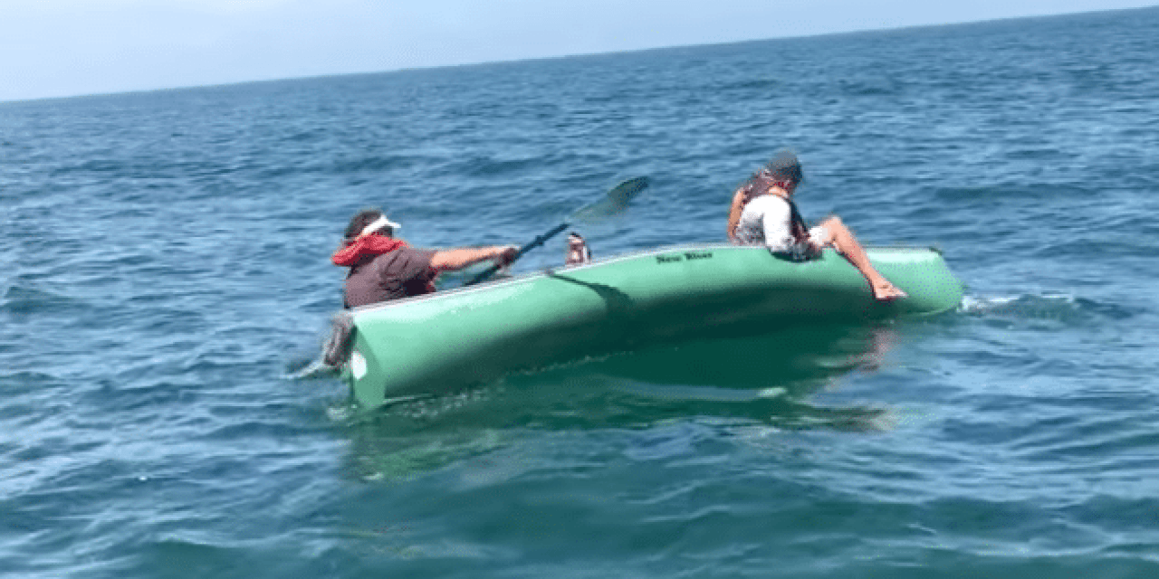 Don’t Go Fishing for Goliath Grouper in a Canoe