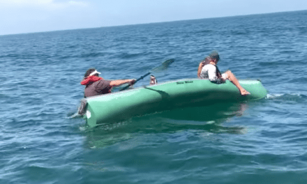 Don’t Go Fishing for Goliath Grouper in a Canoe