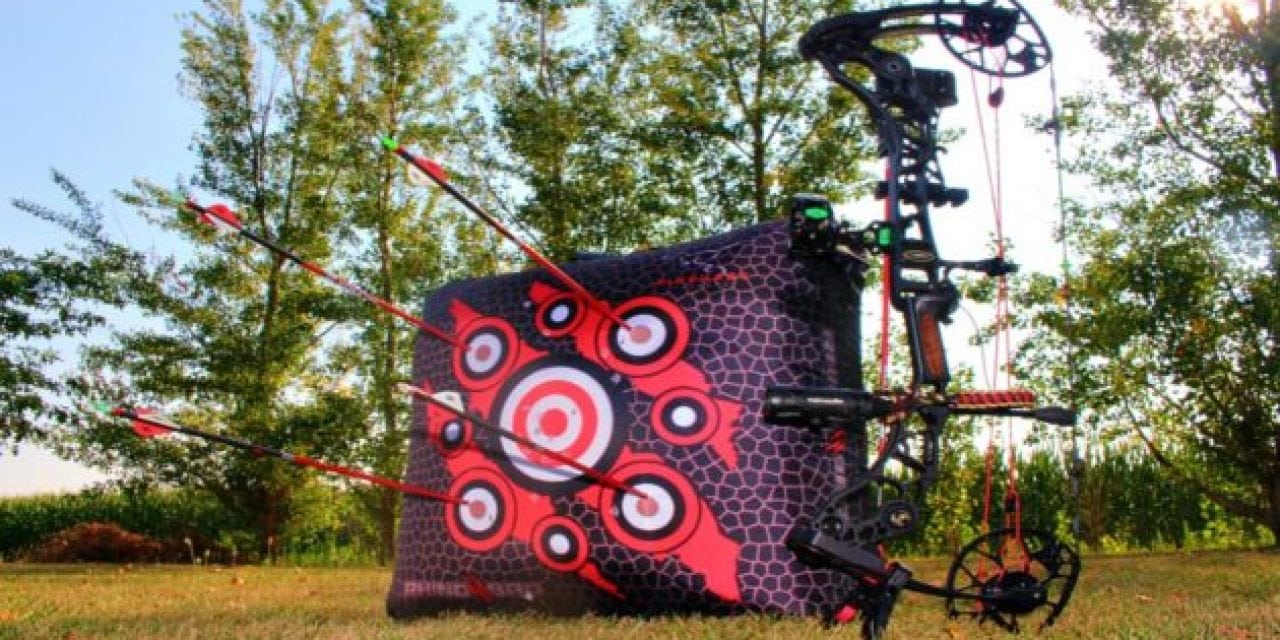 Every Bowhunter Should Invest in This Target